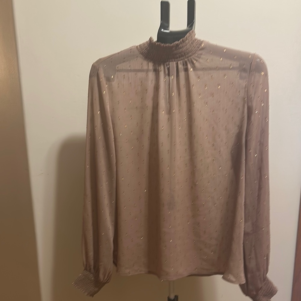 Express women’s size Large Elegant Brown Sheer Women's Top